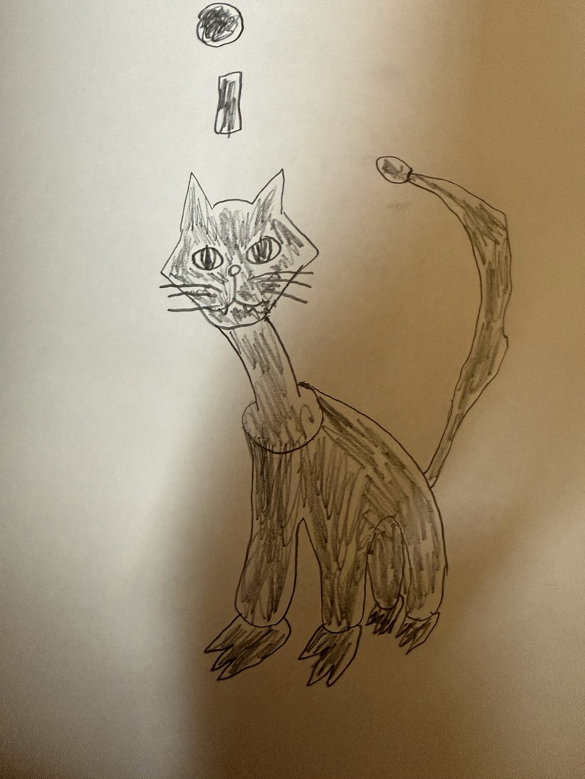 黒猫